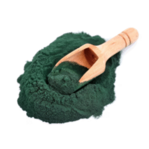 Premium Spirulina Producer | Organic, Sustainable & Nutrient-Rich