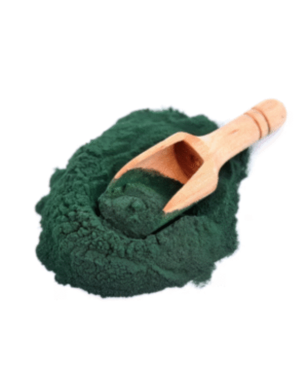 Premium Spirulina Producer | Organic, Sustainable & Nutrient-Rich